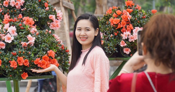 La gente de Hai Phong se registra en el jardín de flores central cerca de Tet