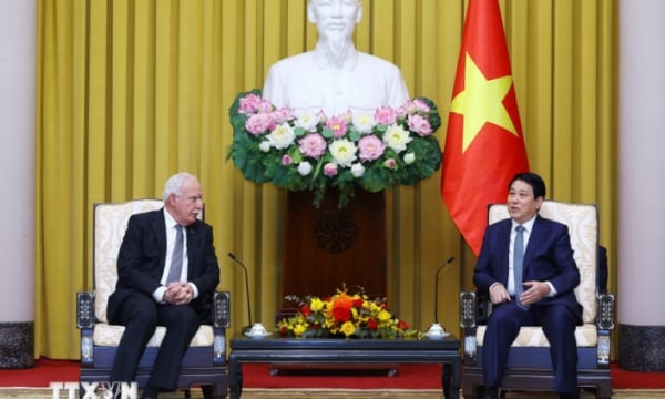 Vietnam unterstützt den gerechten Kampf des palästinensischen Volkes