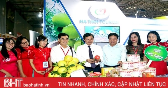 Ha Tinh participa en la 17ª Feria Internacional de Turismo de Ciudad Ho Chi Minh