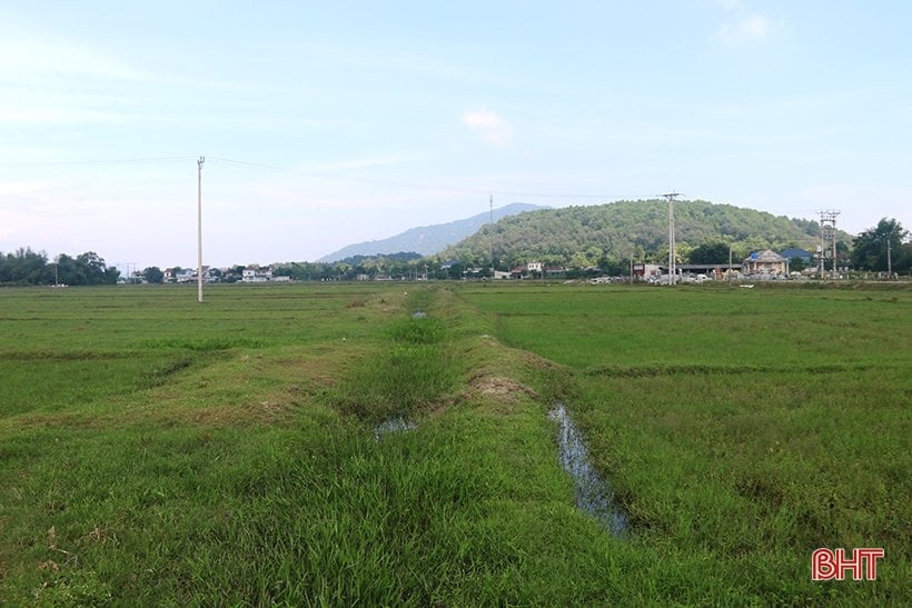 Ha Tinh schlägt weiterhin vor, das Ausbeutungsprojekt der Thach Khe-Eisenmine zu stoppen