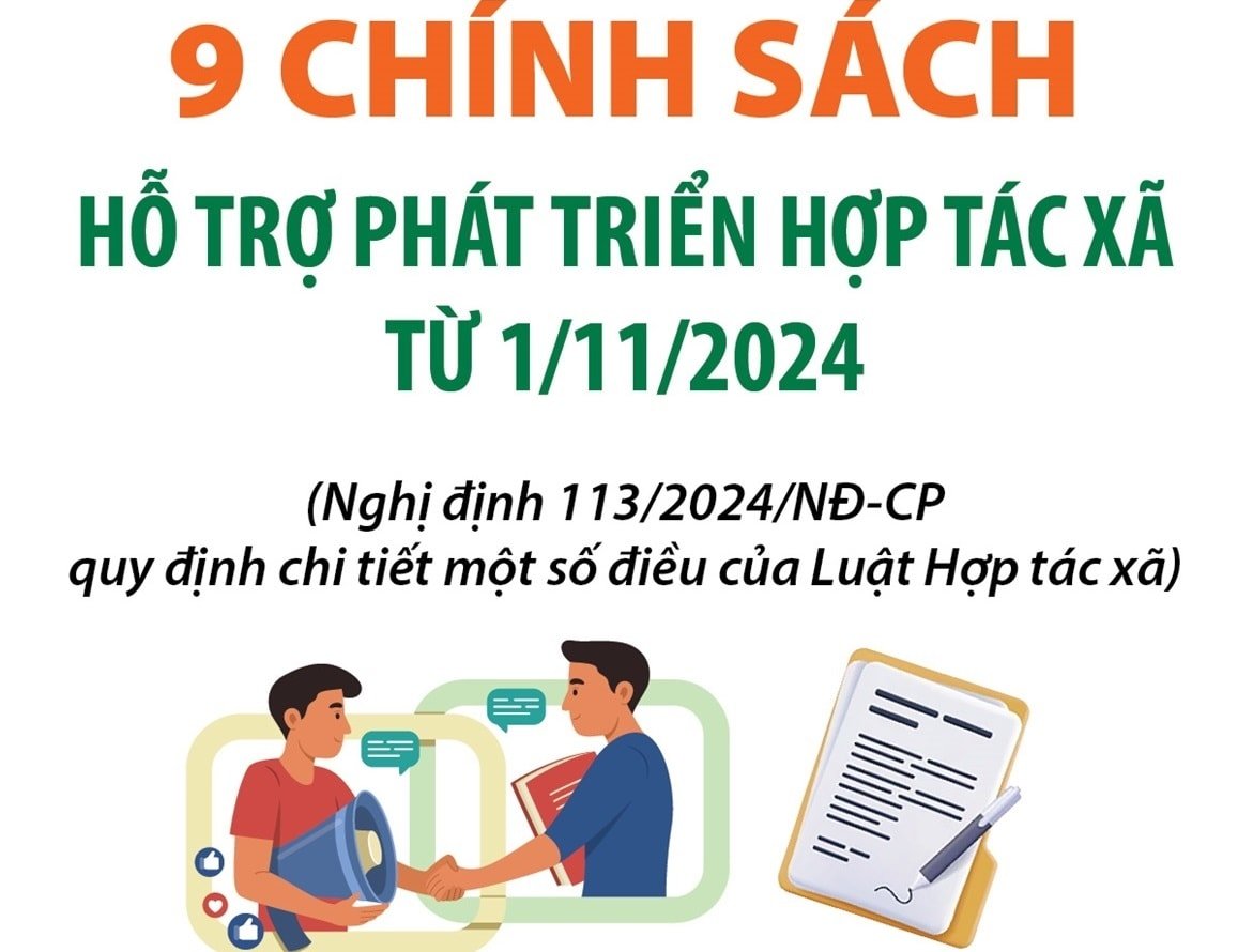 9 chính sách hỗ trợ phát triển hợp tác xã từ tháng 11