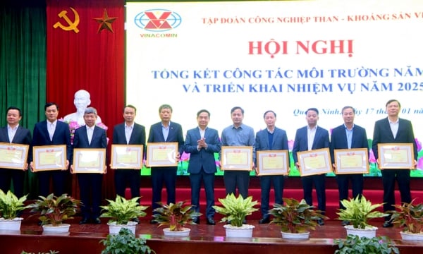 TKV triển khai công tác môi trường năm 2025