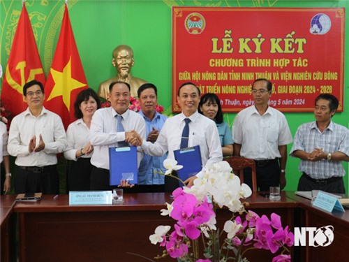 Provincial Farmers' Association and Nha Ho Cotton Research and Agricultural Development Institute signed a cooperation agreement