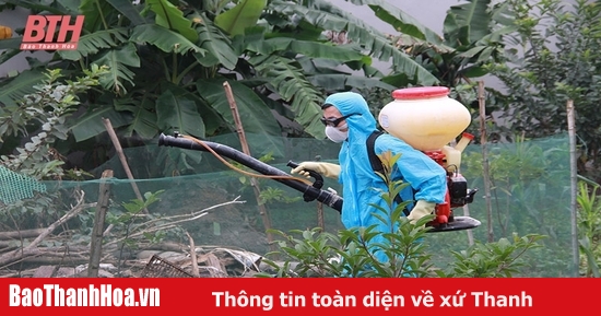 Tăng cường phòng, chống dịch bệnh động vật những tháng cuối năm