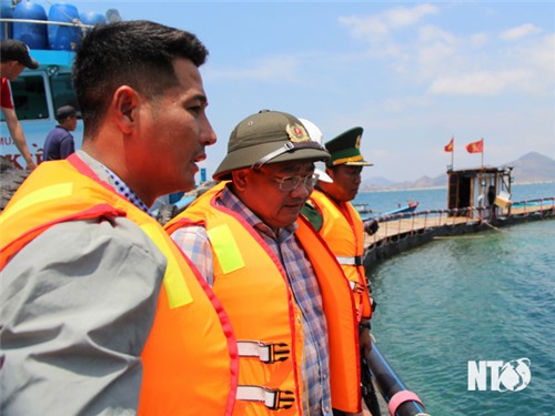 Comrade Trinh Minh Hoang, Vice Chairman of the Provincial People's Committee visited high-tech agricultural production models.