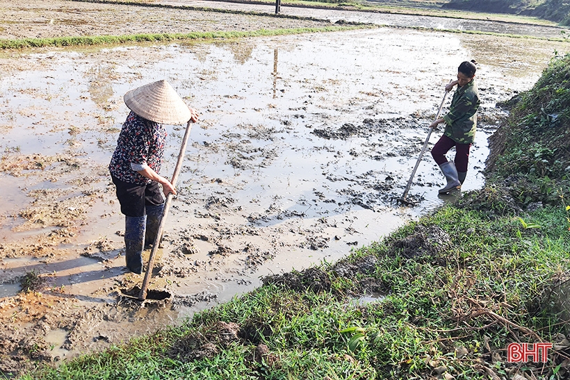 Đất ruộng bị vùi lấp, người dân huyện Kỳ Anh gặp khó trong sản xuất 