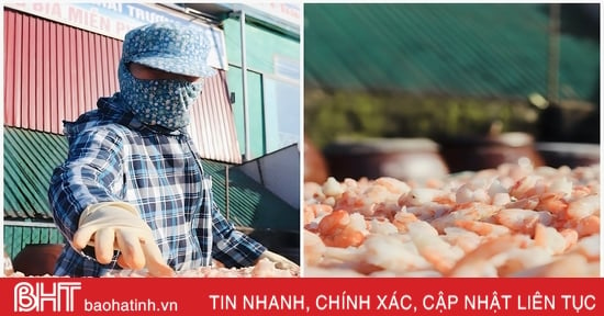 Las instalaciones de procesamiento de mariscos en Ha Tinh están ocupadas "recogiendo" productos para el Tet.