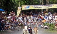 Environ 30 000 personnes assistent à la course de taureaux de Bay Nui