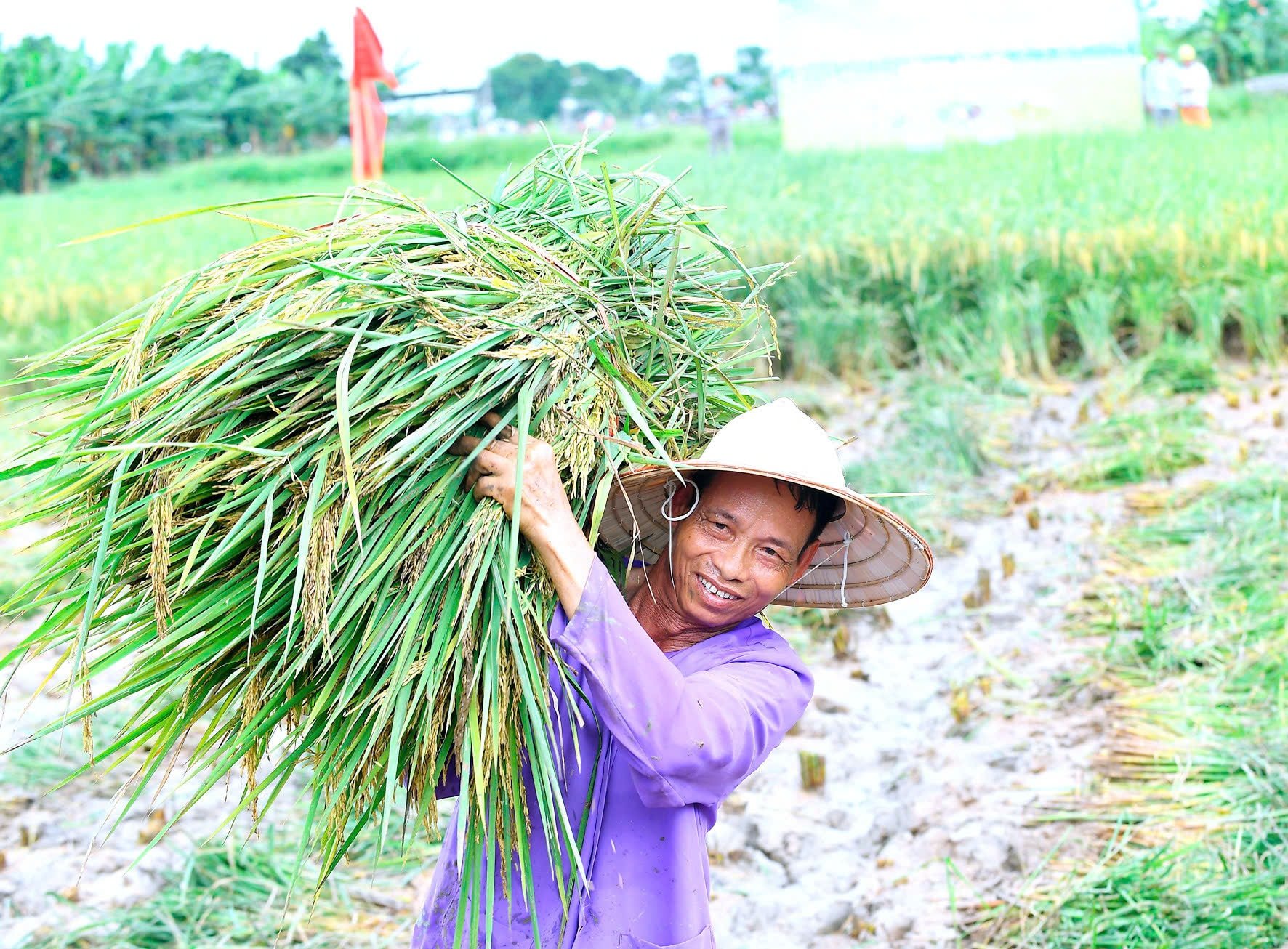 Tu Ky transforme le potentiel de l'agriculture biologique et de l'écotourisme en réalité