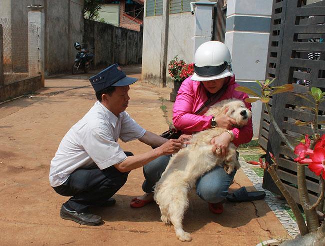 クロンアナ県で狂犬病の疑いのある死亡例が記録される