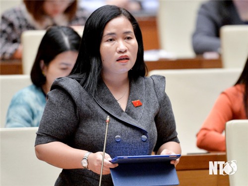 Délégation des députés de l'Assemblée nationale de la province de Ninh Thuan : Discussion en salle sur le projet de loi sur l'emploi (amendé)