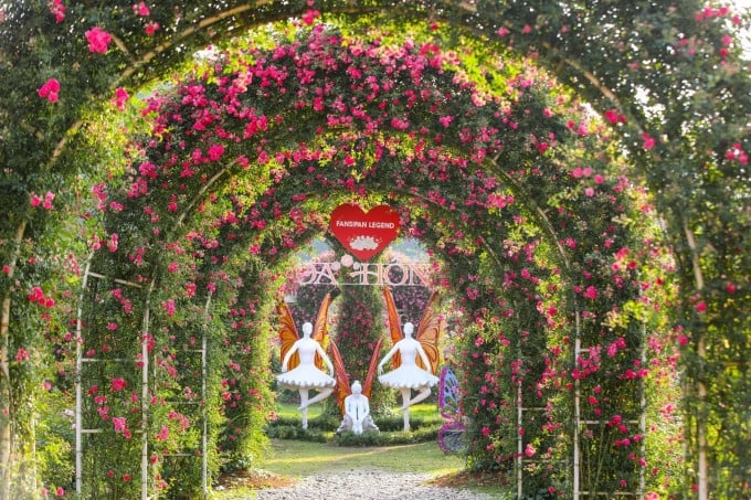 The Fansipan Rose Festival will open on April 27. Photo: Sun World