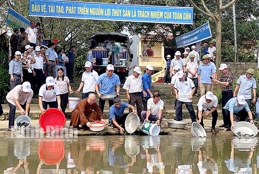 Chương trình thả cá giống tái tạo nguồn lợi thủy sản năm 2024