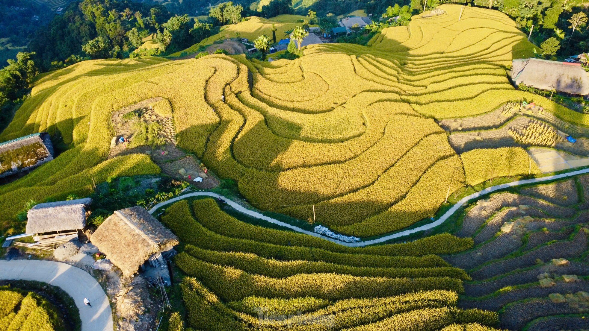 Rare, hard to find roofs that can 'transform' in Ha Giang photo 13