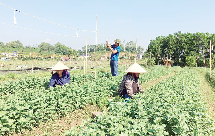 Gìn giữ, vun đắp nghề truyền thống