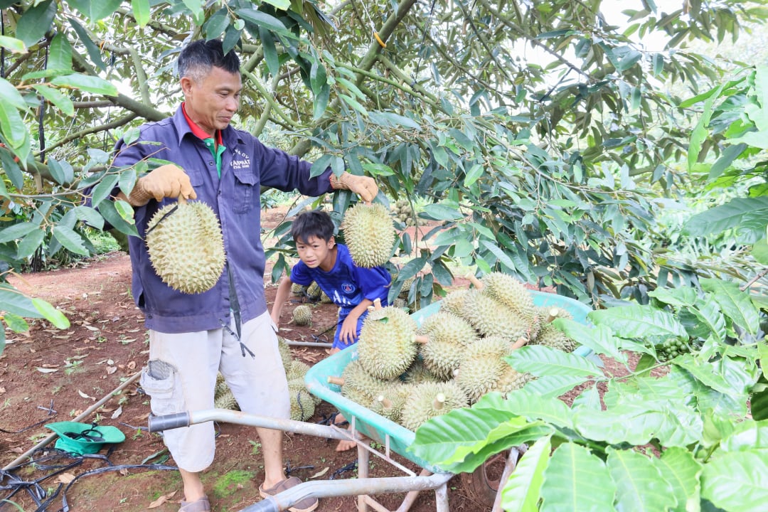 La valeur totale des produits agricoles en 9 mois est estimée à plus de 10,9 billions de VND