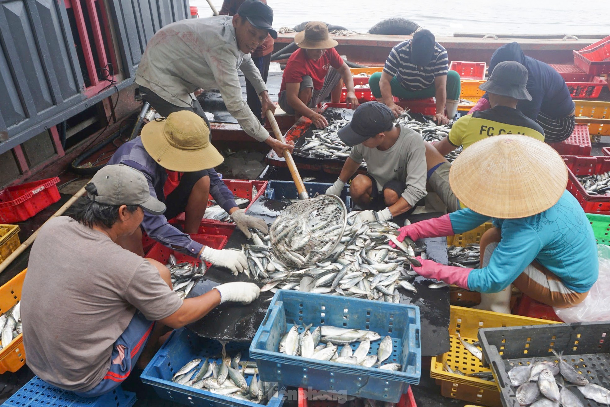 ទិដ្ឋភាព​បិទ​ការដ្ឋាន​សាងសង់​មជ្ឈមណ្ឌល​ជលផល Da Nang ធំ រូបថត ១៥