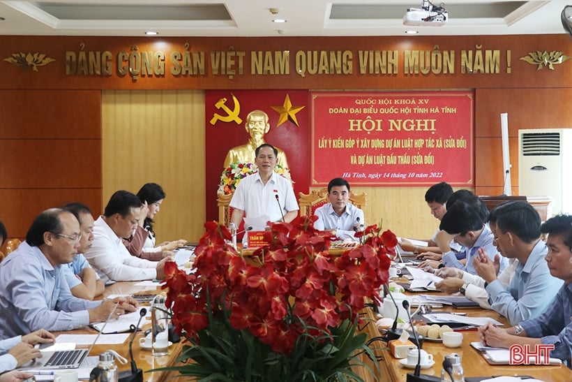 Die Delegation der Nationalversammlung von Ha Tinh sammelt Meinungen zu Inhalten, die dem Zentralkomitee empfohlen werden sollen