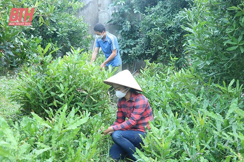 Tháo gỡ khó khăn trong áp dụng khoa học - kỹ thuật vào sản xuất nông nghiệp