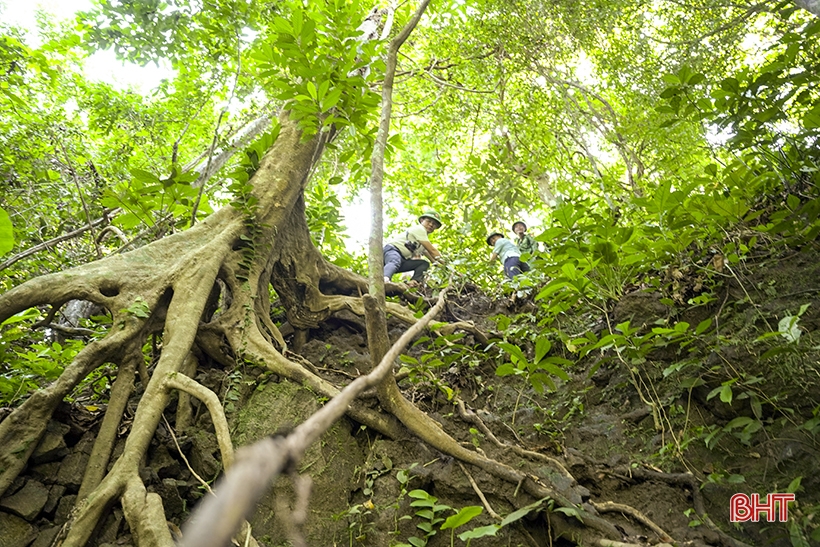 Vestiges of the Can Vuong movement base in Ha Tinh