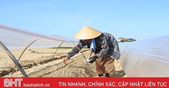 Nông dân Hà Tĩnh “cướp nắng”, hối hả sản xuất vụ đông