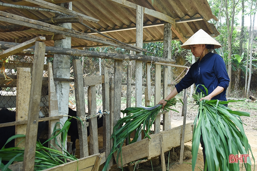 Hương Sơn triển khai hiệu quả các giải pháp bảo vệ nền tảng tư tưởng của Đảng