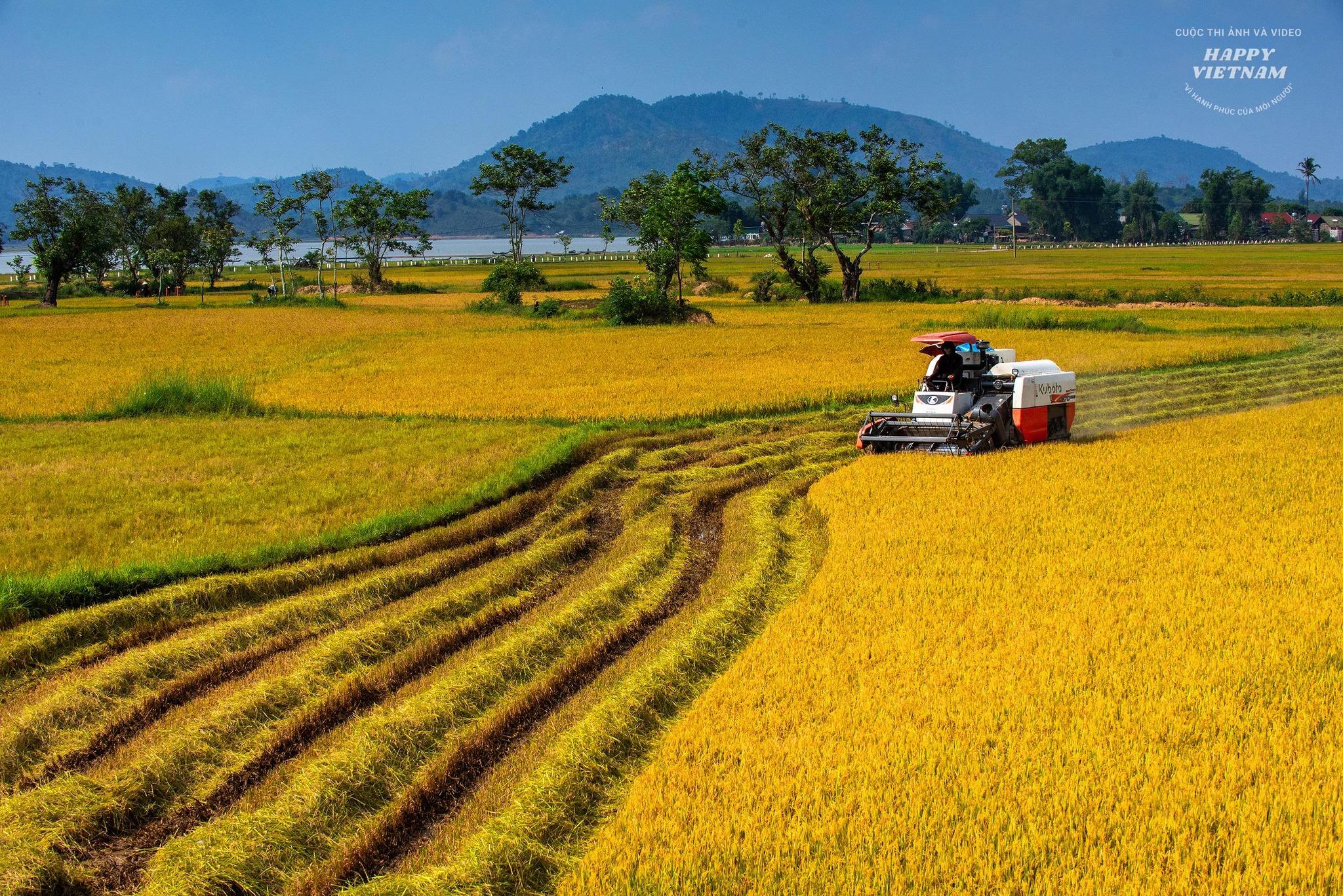 Có thể là hình ảnh về máy liên hợp