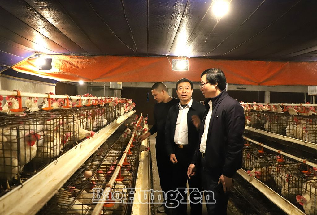 Delegados visitan un modelo ganadero en la comuna de Chinh Nghia (Kim Dong) 