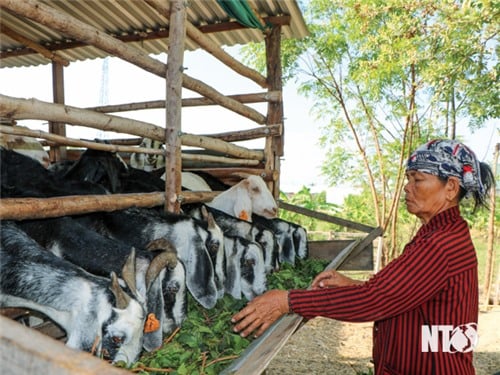 អត្ថបទចុងក្រោយ៖ អមដំណើរអ្នកក្រ