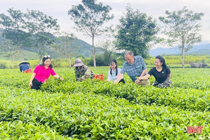 Envisager d'ajuster l'échelle du projet d'extension de la route Xo Viet Nghe Tinh