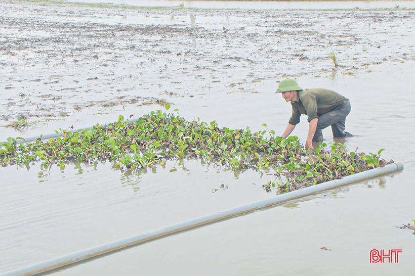 L'agriculteur reste attaché à la terre, aux champs, à la recherche de nouvelles orientations pour le développement économique