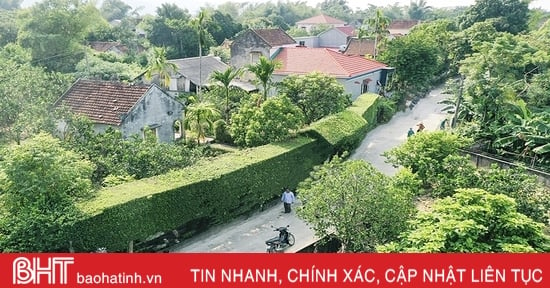 Ha Tinh destina más de 161.500 millones de dongs para implementar nueva política rural