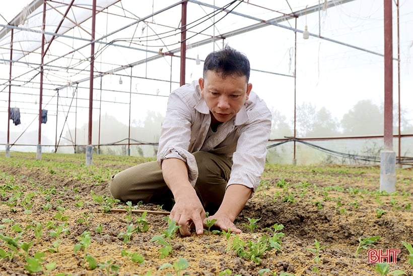 Luu Vinh Son flower village is busy during Tet season