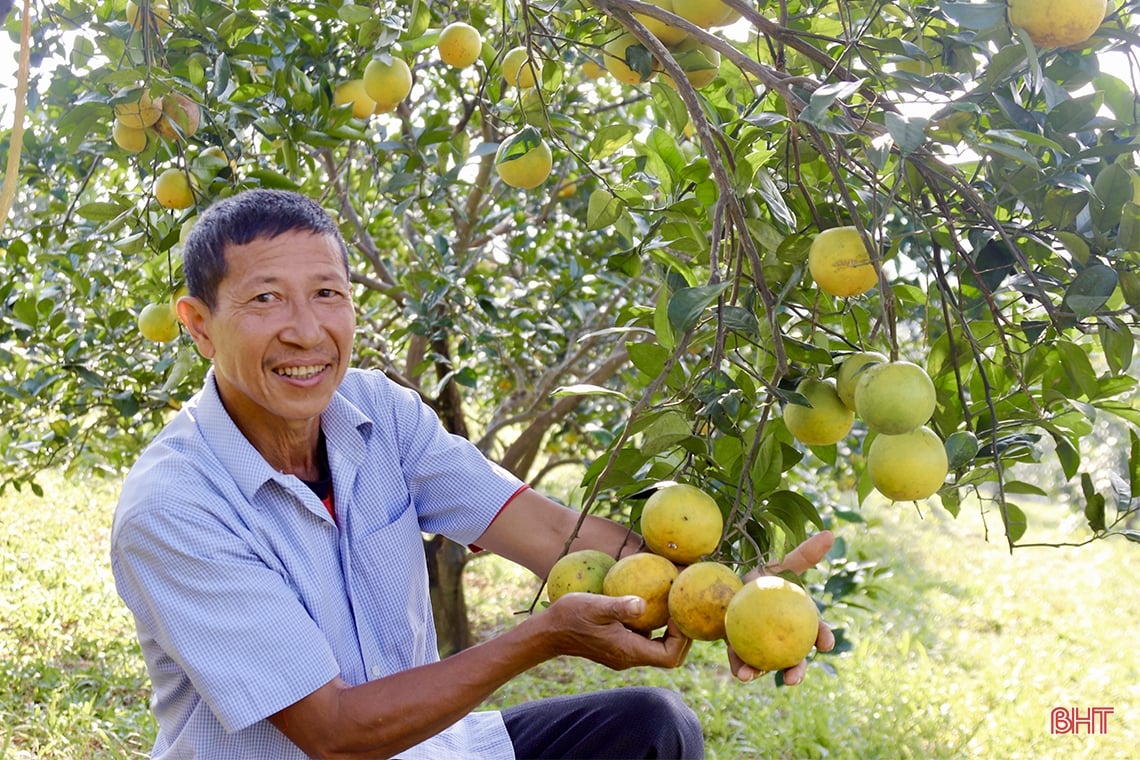 Grenzgemeinde Ha Tinh prosperiert dank neuer ländlicher Gebiete