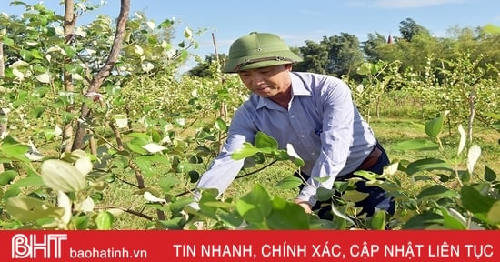 Người cựu chiến binh và nỗ lực cải tạo bãi bồi ven sông La