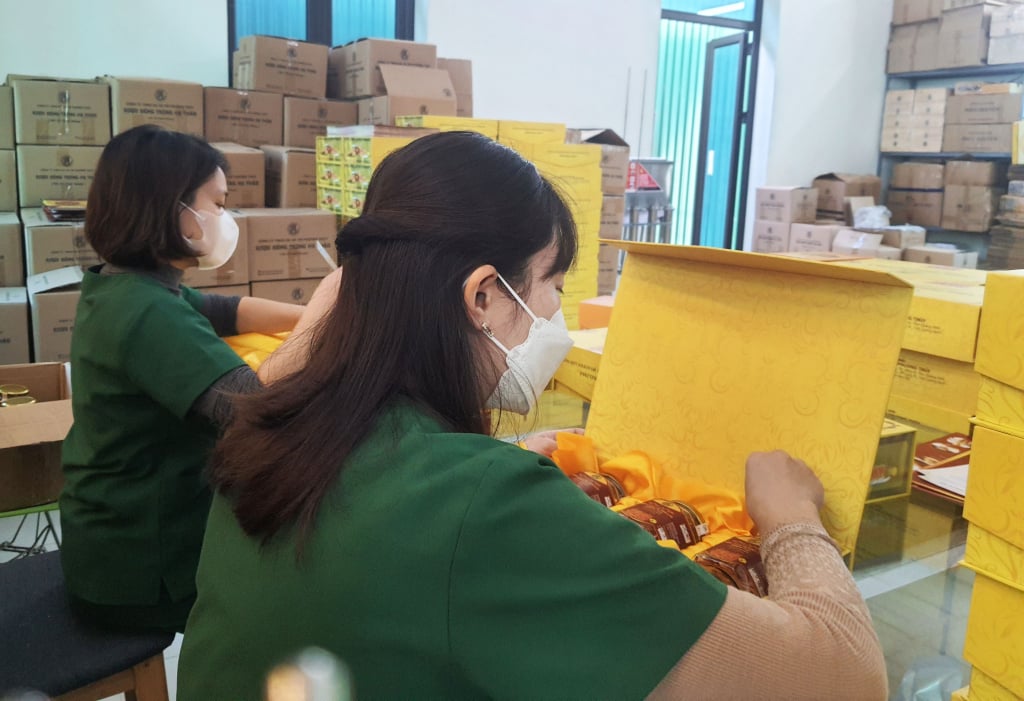 Workers of Phuong Thuy Production and Trading Company Limited (Bac Son Ward, Uong Bi City) pack cordyceps products.