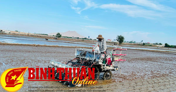 Demonstration of mechanization in rice production