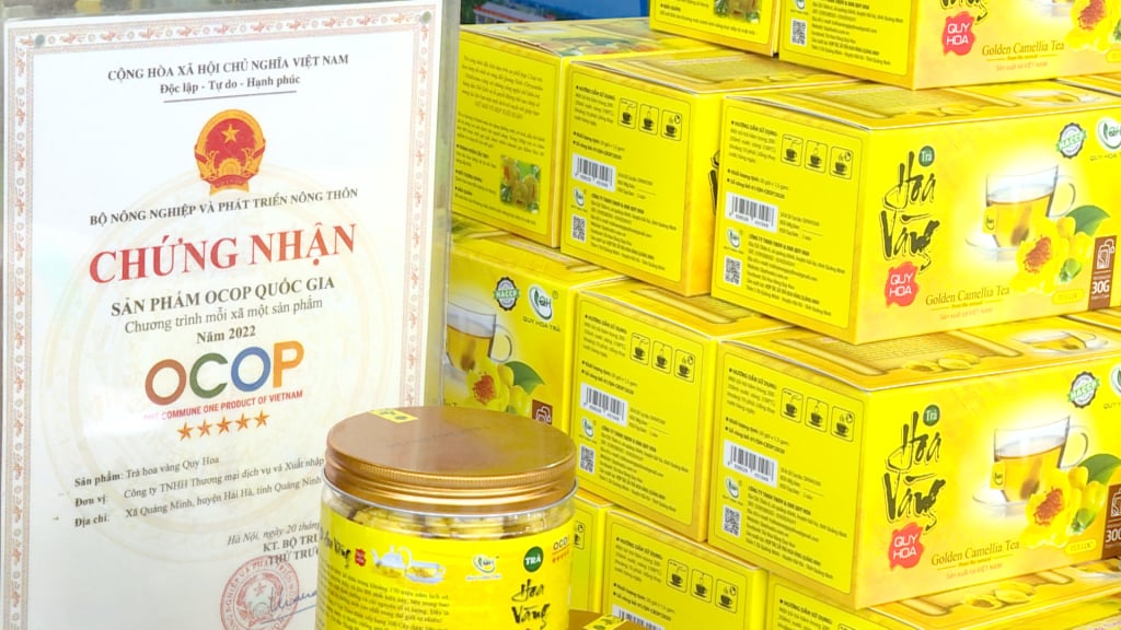 Producto OCOP de 5 estrellas, Té de flores doradas Quy Hoa