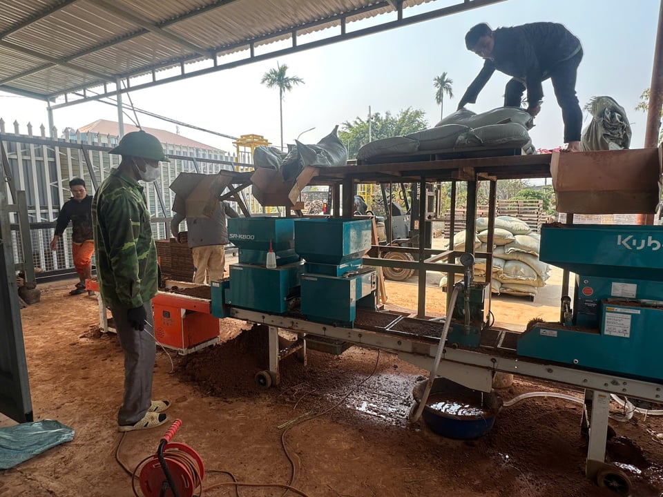 Tecnología de la línea de producción para la preparación de bandejas para la siembra mediante máquinas de la Cooperativa Agrícola General Phu Hung