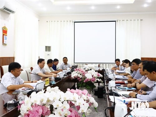 The Provincial People's Committee held a meeting to listen to the report on the Resolution regulating the fee for appraising dossiers for granting Land Use Right Certificates.