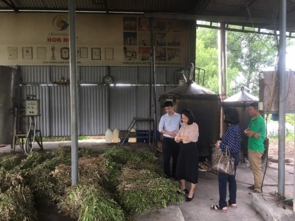 Évaluation de la production réelle de produits industriels ruraux typiques dans la région des hauts plateaux du centre