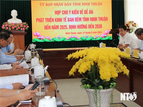 Meeting to give opinions on the Project to develop the night-time economy of Ninh Thuan province