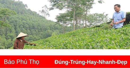 Giảm nghèo ở Đồng Xuân