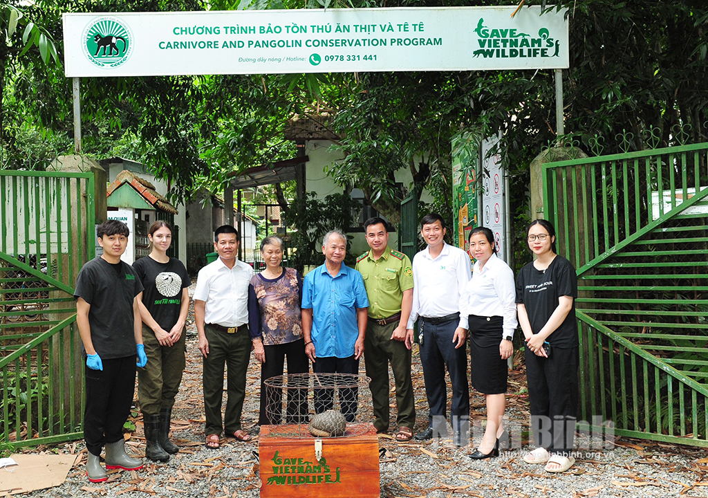 Una familia de la ciudad de Ninh Binh entregó un pangolín al Parque Nacional Cuc Phuong.