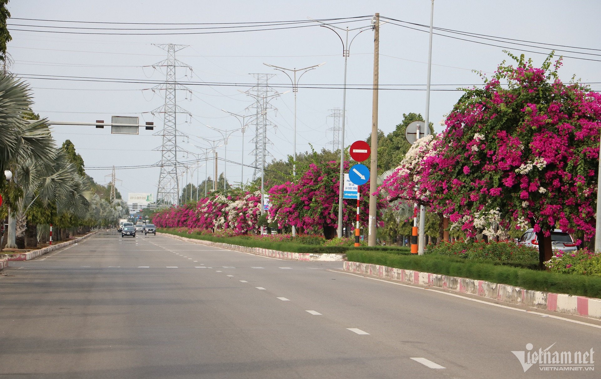 W-con-duong-hoa-giay-vung-tau-10-1.jpg