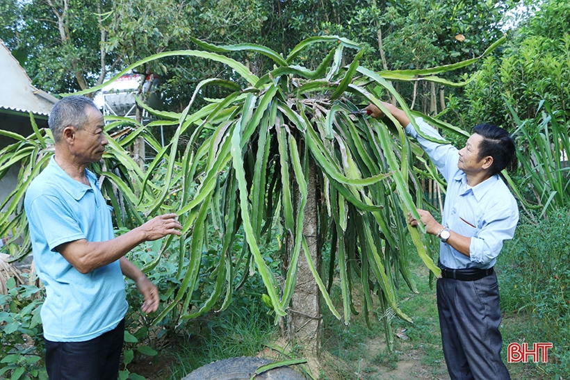 Những tấm gương “tuổi cao chí khí càng cao” ở Vũ Quang