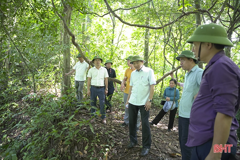 Vestiges of the Can Vuong movement base in Ha Tinh