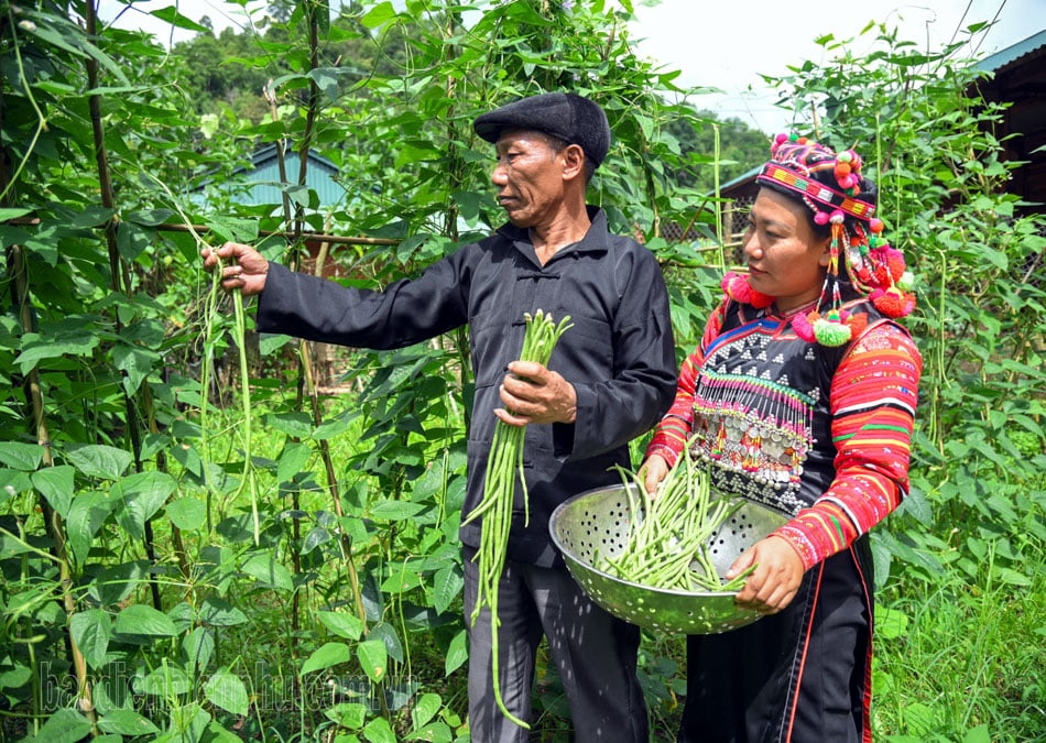 Nhịp cầu nối cấp ủy, chính quyền với nhân dân