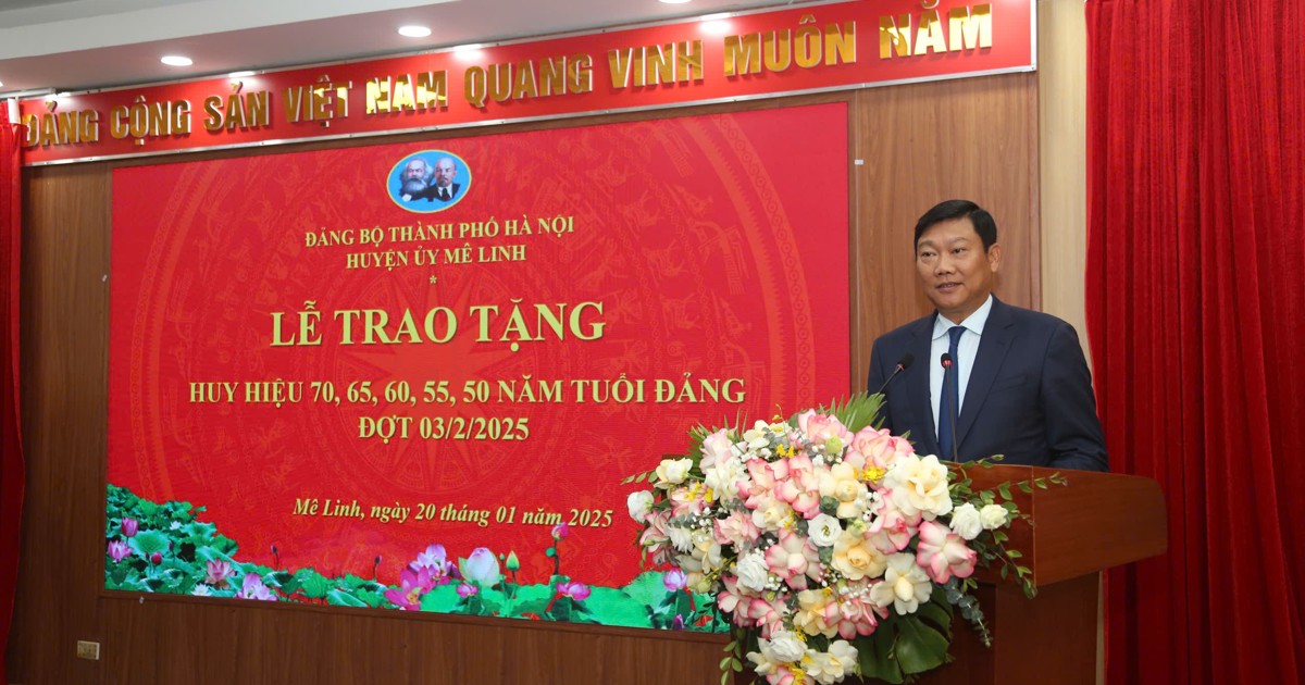 Trưởng ban Dân vận Thành ủy Đỗ Anh Tuấn trao Huy hiệu Đảng tại Mê Linh