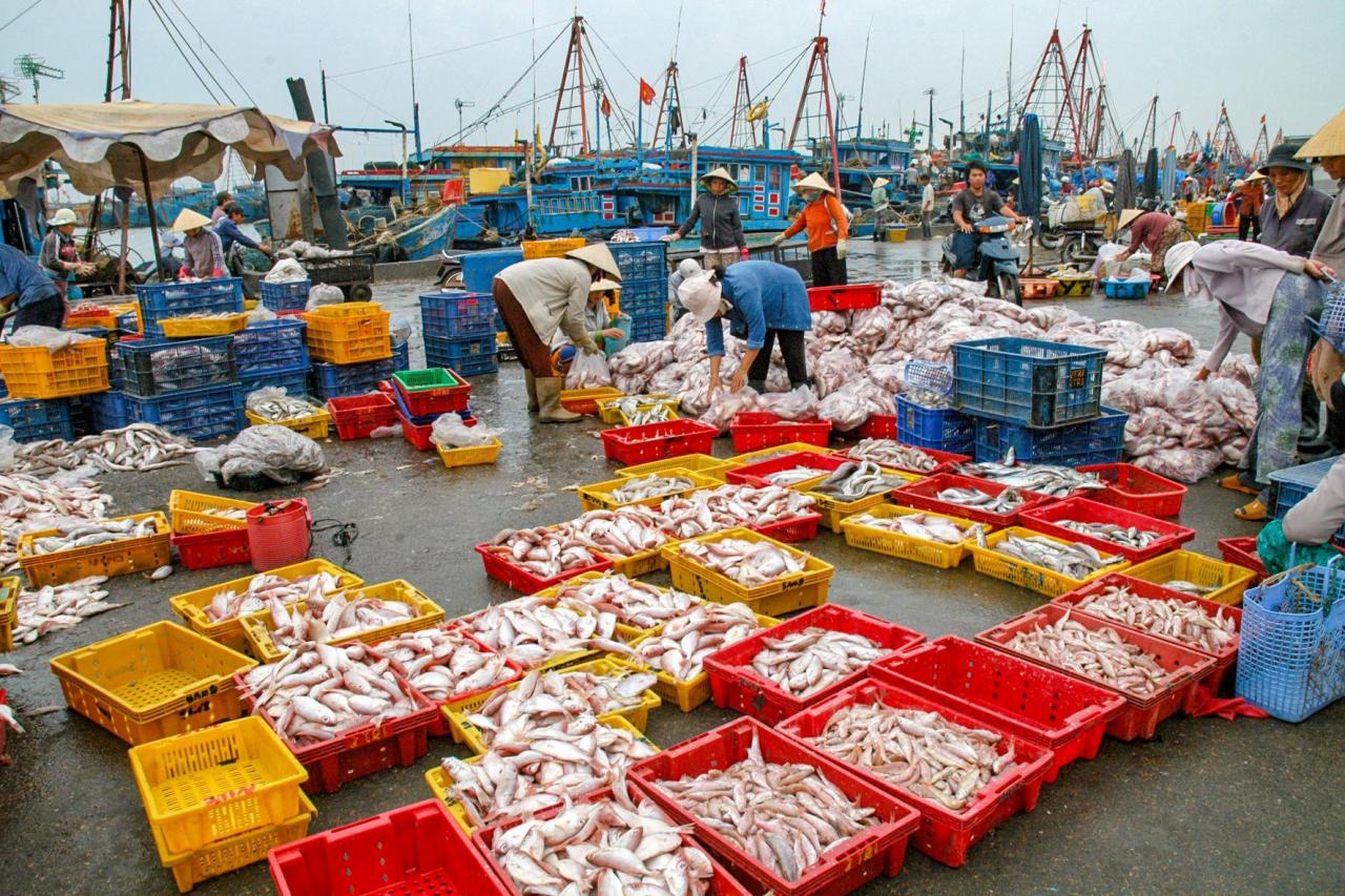 foto-de-temporada-de-pesca-n.-lan-14-.jpg